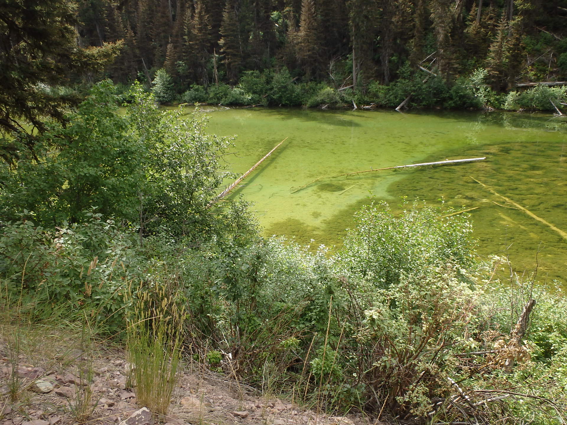 GDMBR: One of the Cottonwood Lakes, Montana.